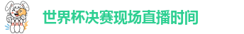 世界杯决赛现场直播时间